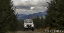 Pirelli Rally